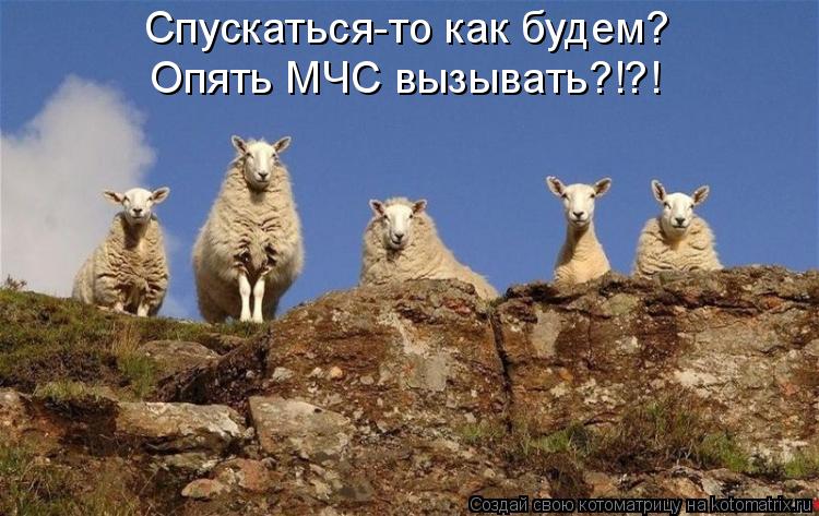 Котоматрица: Опять МЧС вызывать?!?! Спускаться-то как будем?