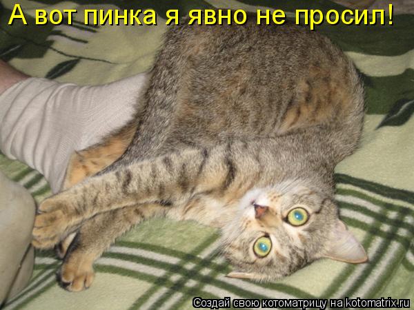 Котоматрица: А вот пинка я явно не просил!