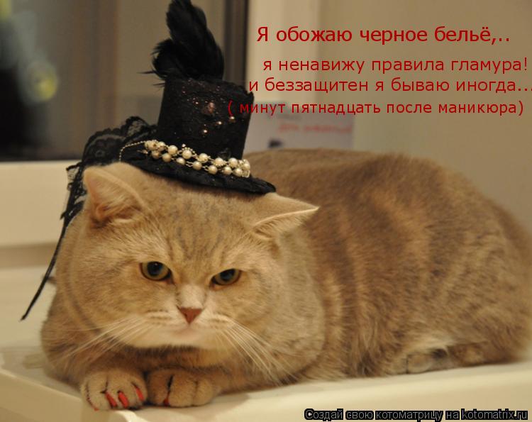 Котоматрица: Я обожаю черное бельё,.. я ненавижу правила гламура! и беззащитен я бываю иногда... ( минут пятнадцать после маникюра)