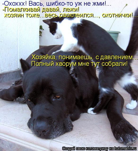 -Охоххх! Вась, шибко-то уж не жми!... Хозяйка, понимаешь, с давлением... Полный хворум мне тут собрал... Котоматрица: -Охоххх! Вась, шибко-то уж не жми!... Хозяйка, понимаешь, с давлением... Полный хворум мне тут собрали! -Помалкивай давай, лежи! хозяин тоже...весь
