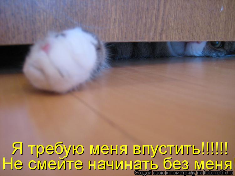 Котоматрица: Не смейте начинать без меня!  Я требую меня впустить!!!!!!