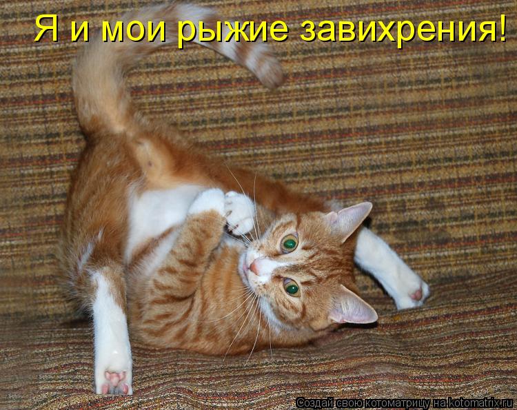 Котоматрица: Я и мои рыжие завихрения!