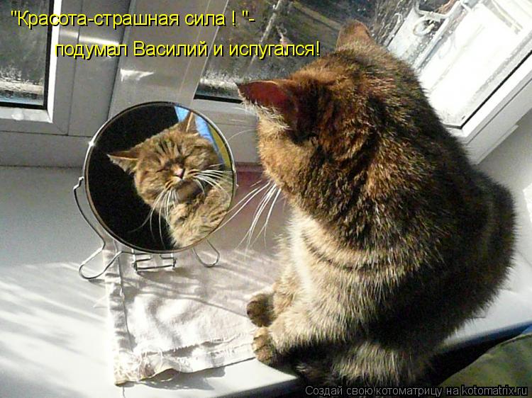 Котоматрица: "Красота-страшная сила ! "- подумал Василий и испугался!