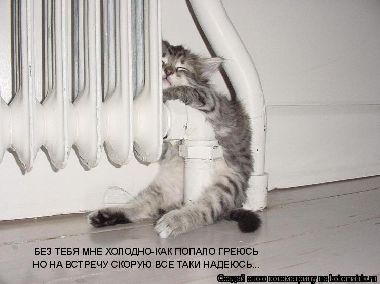 БЕЗ ТЕБЯ МНЕ ХОЛОДНО-КАК ПОПАЛО ГРЕЮСЬ НО НА ВСТРЕЧУ СКОРУЮ ВСЕ ТАКИ НАДЕЮСЬ...... Котоматрица: БЕЗ ТЕБЯ МНЕ ХОЛОДНО-КАК ПОПАЛО ГРЕЮСЬ НО НА ВСТРЕЧУ СКОРУЮ ВСЕ ТАКИ НАДЕЮСЬ...