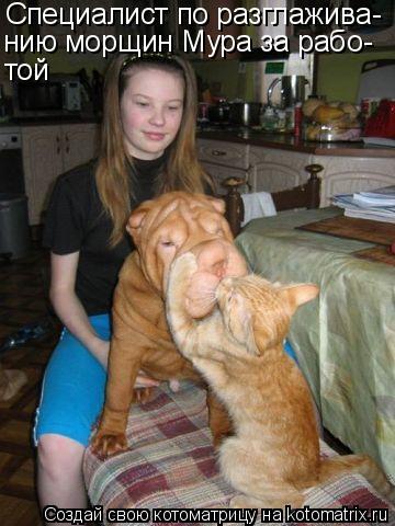 Котоматрица: Специалист по разглажива- нию морщин Мура за рабо- той
