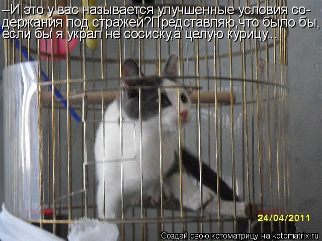 Котоматрица: --И это у вас называется улучшенные условия со- держания под стражей?Представляю,что было бы, если бы я украл не сосиску,а целую курицу...