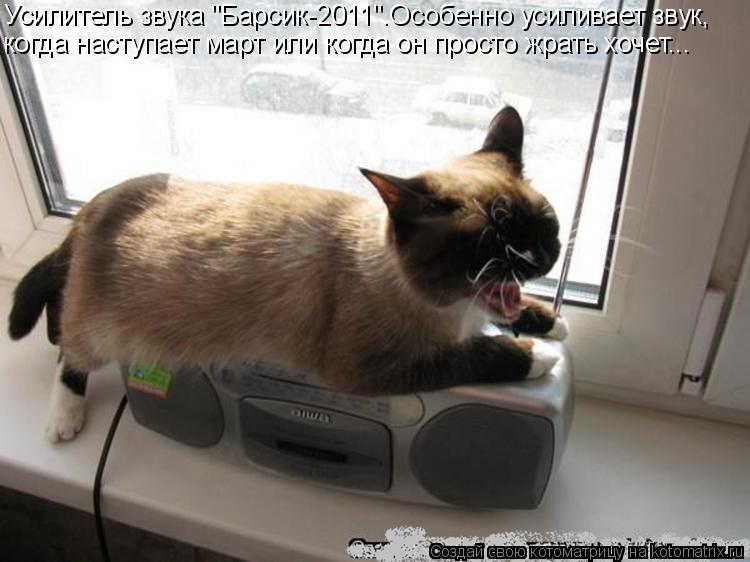 Котоматрица: Усилитель звука "Барсик-2011".Особенно усиливает звук, когда наступает март или когда он просто жрать хочет...