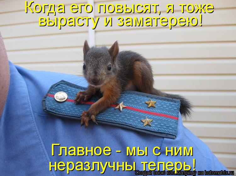 Котоматрица: Когда его повысят, я тоже вырасту и заматерею! Главное - мы с ним  неразлучны теперь!