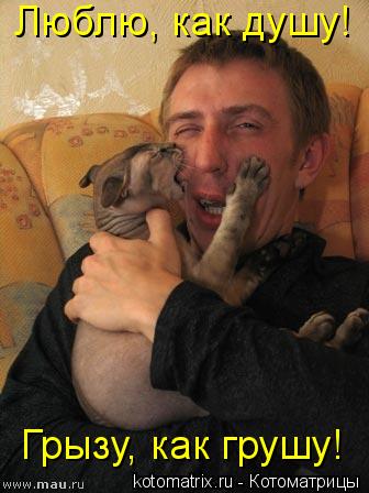 Котоматрица: Люблю, как душу! Грызу, как грушу!