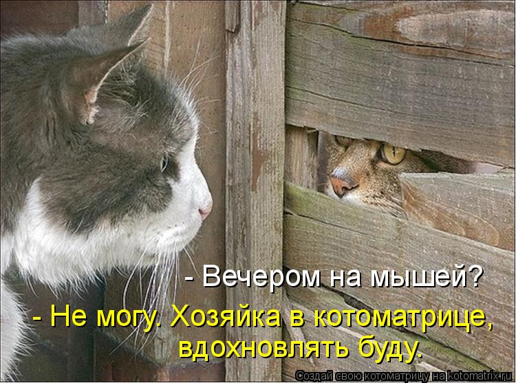 - Вечером на мышей? - Не могу. Хозяйка в котоматрице, вдохновлять буду.... Котоматрица: - Вечером на мышей? - Не могу. Хозяйка в котоматрице, вдохновлять буду.