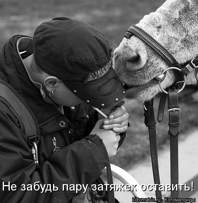 Котоматрица: Не забудь пару затяжек оставить!