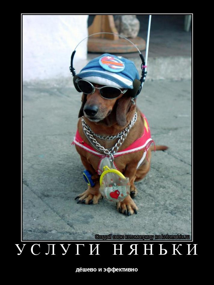 Котоматрица: Услуги няньки дёшево и эффективно