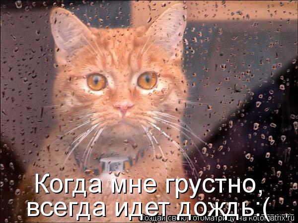 Котоматрица: Когда мне грустно,  всегда идет дождь:(