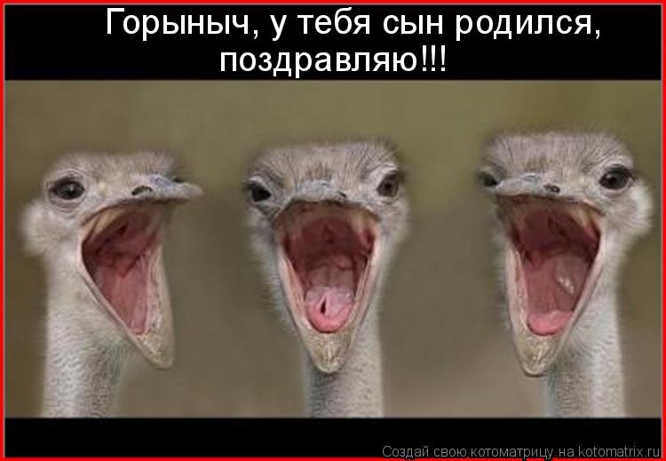 Котоматрица: Горыныч, у тебя сын родился,  поздравляю!!!