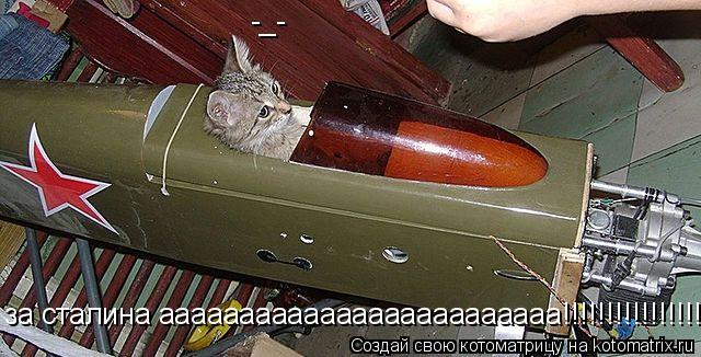 Котоматрица: за сталина ааааааааааааааааааааааааа!!!!!!!!!!!!!!!!!! -_-