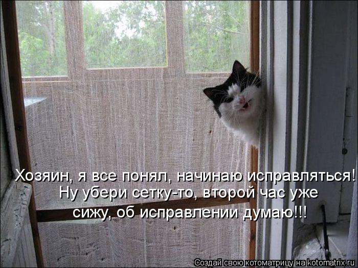 Котоматрица: Хозяин, я все понял, начинаю исправляться! Ну убери сетку-то, второй час уже сижу, об исправлении думаю!!!