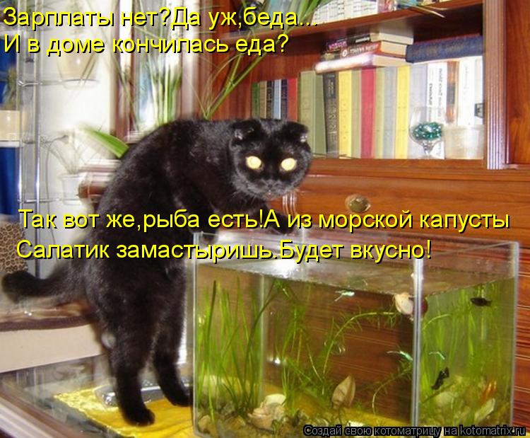 Котоматрица: Зарплаты нет?Да уж,беда... И в доме кончилась еда? Так вот же,рыба есть!А из морской капусты Салатик замастыришь.Будет вкусно!