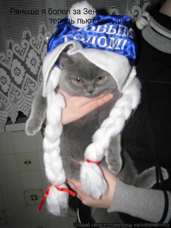 Котоматрица: Раньше я болел за Зенит,  теперь пьют больше...