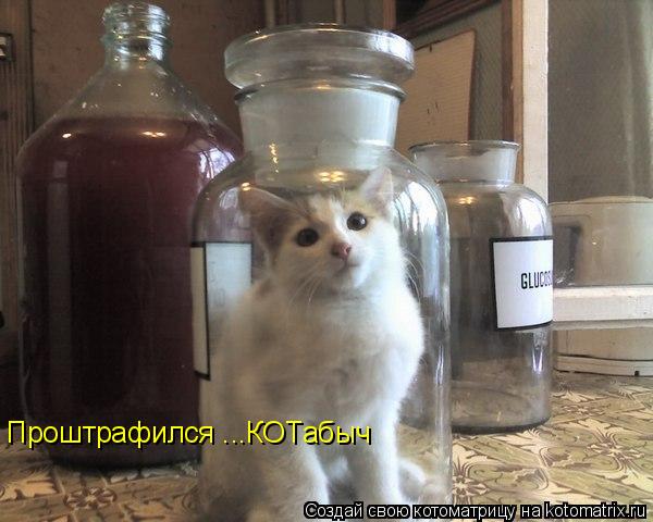 Котоматрица: Проштрафился ...КОТабыч