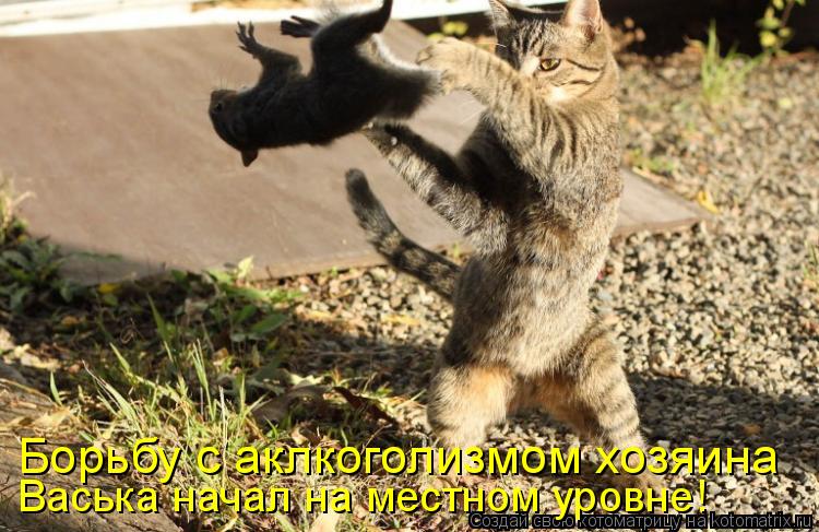 Васька начал на местном уровне! Борьбу с аклкоголизмом хозяина... Котоматрица: Васька начал на местном уровне! Борьбу с аклкоголизмом хозяина