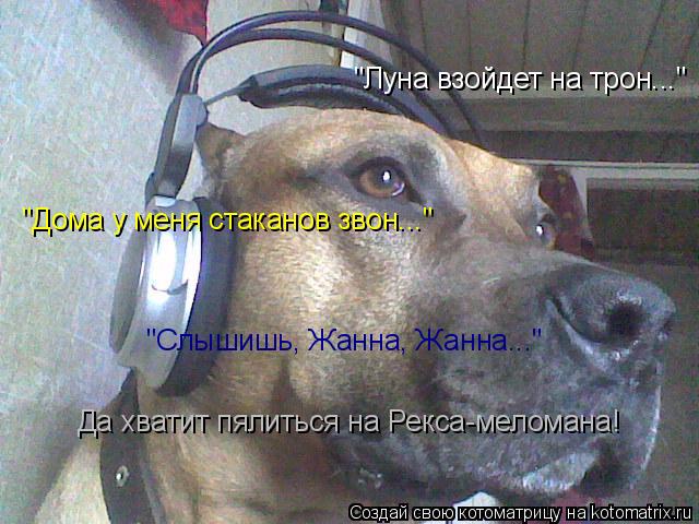 Котоматрица: "Луна взойдет на трон..." "Дома у меня стаканов звон..." "Слышишь, Жанна, Жанна..." Да хватит пялиться на Рекса-меломана!
