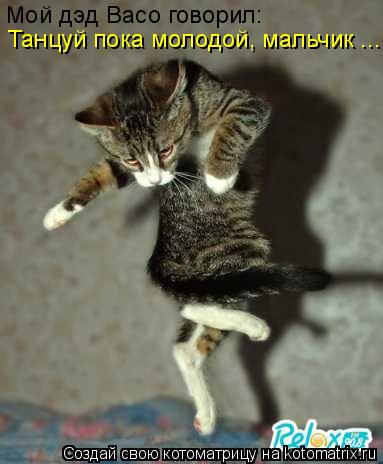 Котоматрица: Мой дэд Васо говорил: Танцуй пока молодой, мальчик ...