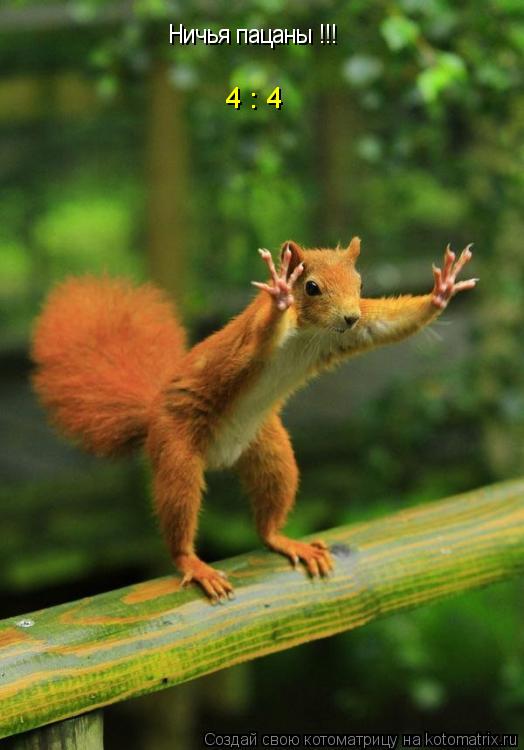 Котоматрица: Ничья пацаны !!! 4 : 4
