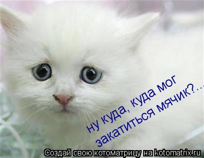 Котоматрица: ну куда, куда мог закатиться мячик?...