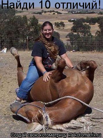 Котоматрица: Найди 10 отличий!
