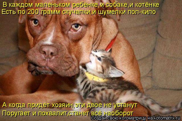Котоматрица: В каждом маленьком ребёнке,и собаке,и котёнке Есть по 200 грамм скучалки,и шумелки пол-кило А когда придёт хозяин,эти двое не устанут Поругае