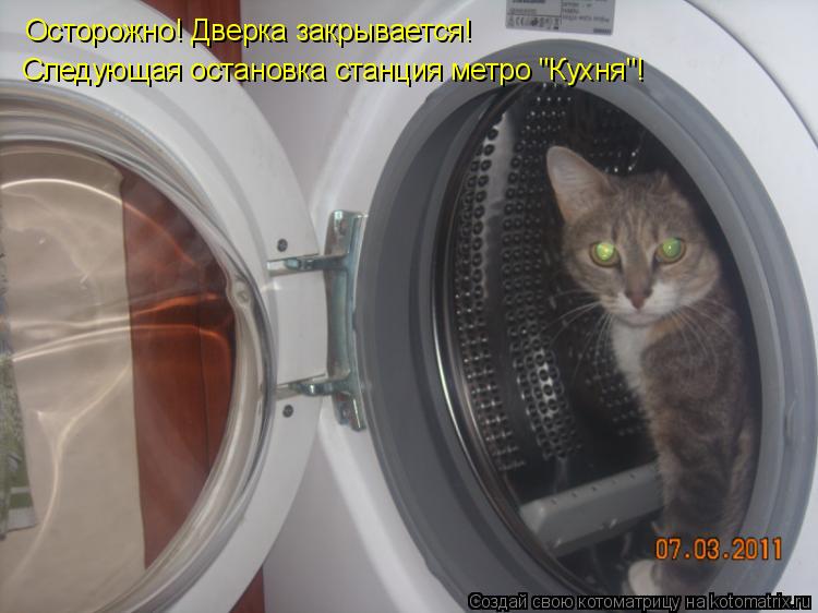Котоматрица: Осторожно! Дверка закрывается!  Следующая остановка станция метро "Кухня"!