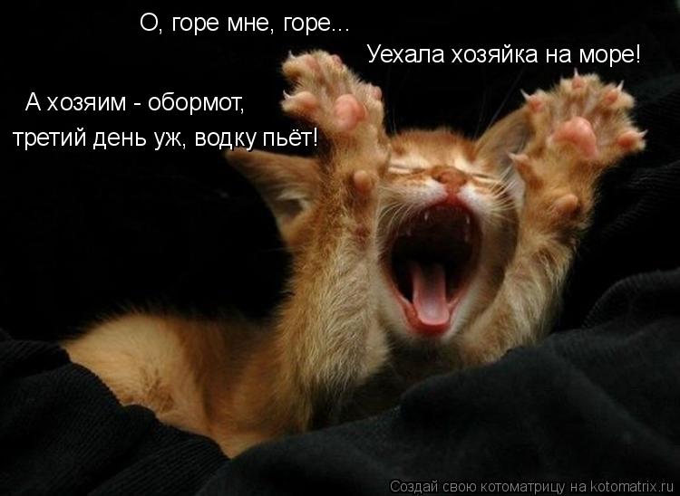 Котоматрица: О, горе мне, горе... Уехала хозяйка на море! А хозяим - обормот, третий день уж, водку пьёт!