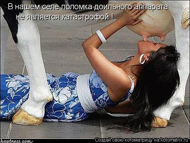 Котоматрица: В нашем селе поломка доильного аппарата не является катастрофой !