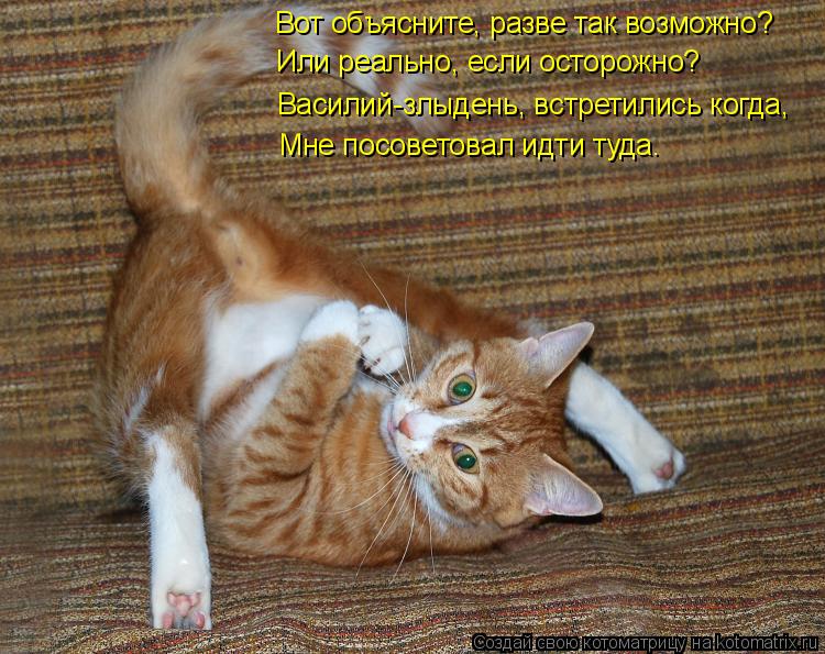 Котоматрица: Вот объясните, разве так возможно? Или реально, если осторожно? Василий-злыдень, встретились когда, Мне посоветовал идти туда.