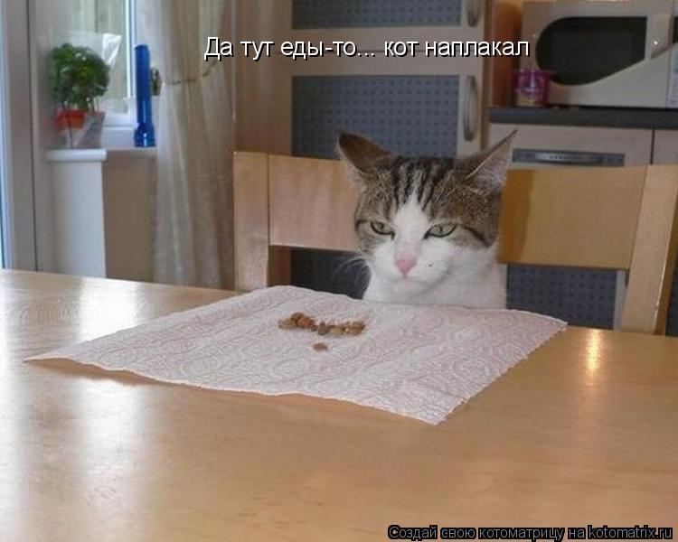 Котоматрица: Да тут еды-то... кот наплакал