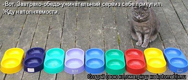 Котоматрица: -Вот. Завтрако-обедо-ужинательный сервиз себе прикупил. Жду наполняемости.