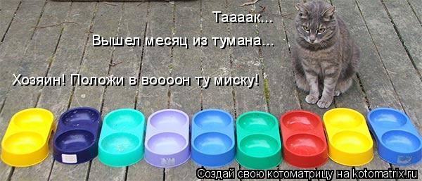 Котоматрица: Таааак... Вышел месяц из тумана... Вышел месяц из тумана... Хозяин! Положи в воооон ту миску!
