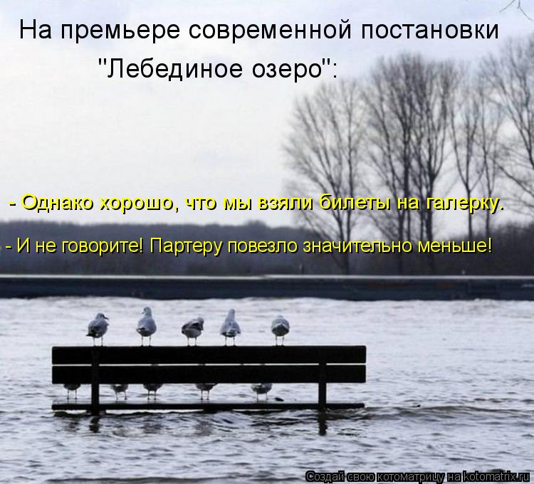 Котоматрица: На премьере современной постановки  "Лебединое озеро": - Однако хорошо, что мы взяли билеты на галерку. - И не говорите! Партеру повезло значи