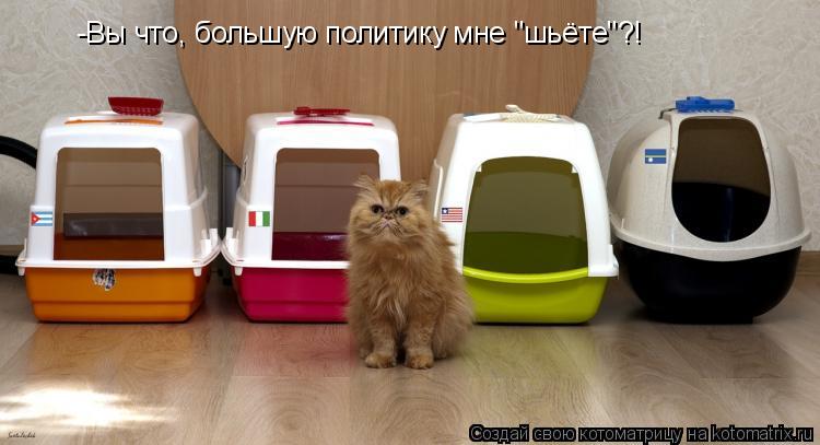 Котоматрица: -Вы что, большую политику мне "шьёте"?!