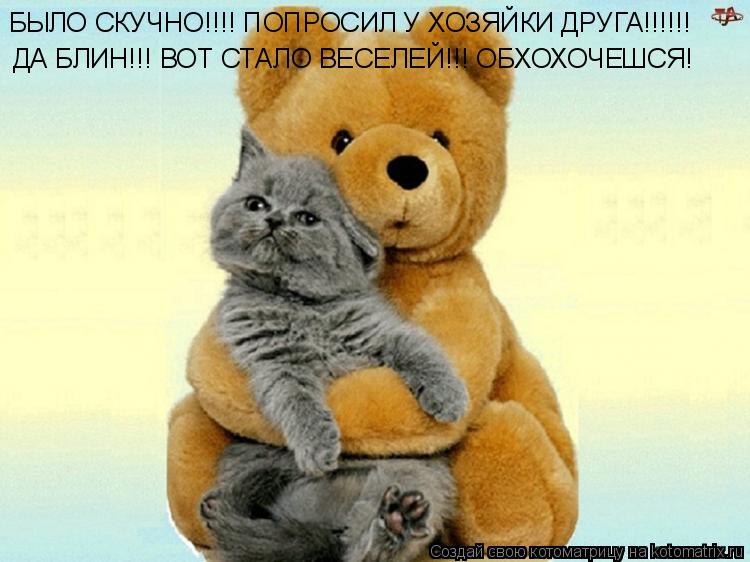 Котоматрица: БЫЛО СКУЧНО!!!! ПОПРОСИЛ У ХОЗЯЙКИ ДРУГА!!!!!! ДА БЛИН!!! ВОТ СТАЛО ВЕСЕЛЕЙ!!! ОБХОХОЧЕШСЯ!