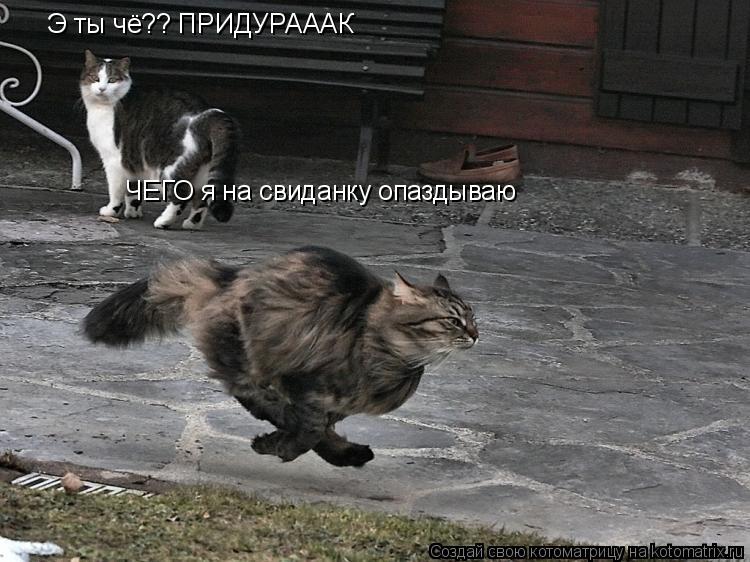 Котоматрица: Э ты чё?? ПРИДУРАААК ЧЕГО я на свиданку опаздываю