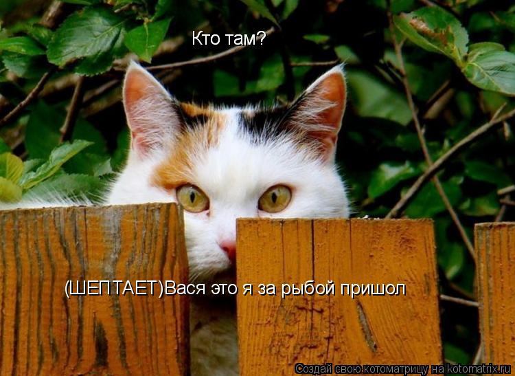 Котоматрица: Кто там? Кто там? (ШЕПТАЕТ)Вася это я за рыбой пришол