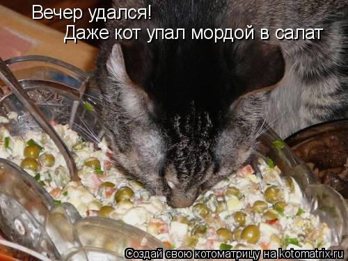 Вечер удался! Даже кот упал мордой в салат... Котоматрица: Вечер удался! Даже кот упал мордой в салат