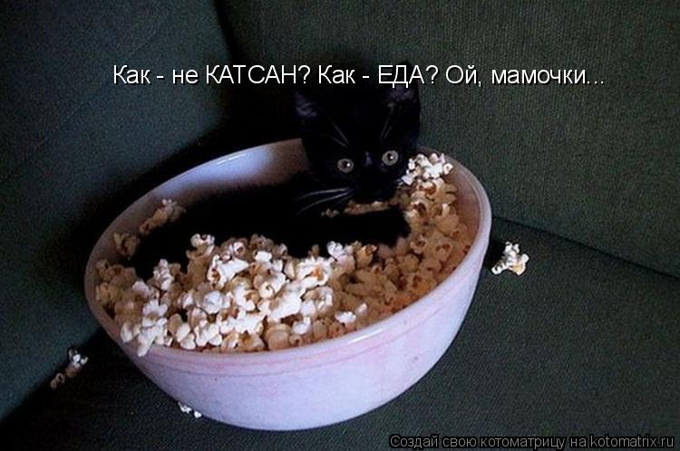 Как - не КАТСАН? Как - ЕДА? Ой, мамочки...... Котоматрица: Как - не КАТСАН? Как - ЕДА? Ой, мамочки...