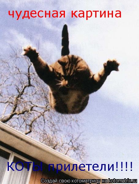 чудесная картина КОТЫ прилетели!!!!... Котоматрица: чудесная картина КОТЫ прилетели!!!!
