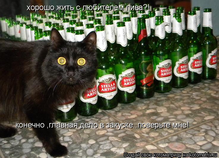 хорошо жить с любителем пива?! конечно ,главная дело в закуске..поверьте мне!... Котоматрица: хорошо жить с любителем пива?! конечно ,главная дело в закуске..поверьте мне!