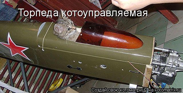 Котоматрица: Торпеда котоуправляемая