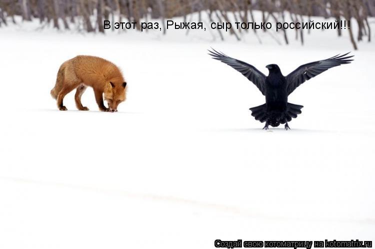 Котоматрица: В этот раз, Рыжая, сыр только российский!!!