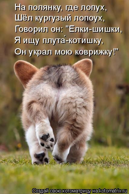 На полянку, где лопух, Шёл кургузый лопоух, Говорил он: "Елки-шишки, Я ищу плута́-котишку, Он ук... Котоматрица: На полянку, где лопух, Шёл кургузый лопоух, Говорил он: "Елки-шишки, Я ищу плута́-котишку, Он украл мою коврижку!"