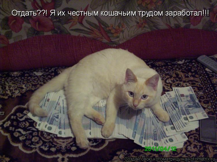 Котоматрица: Отдать??! Я их честным кошачьим трудом заработал!!!